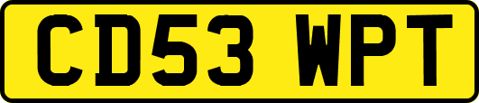 CD53WPT