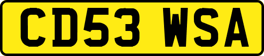 CD53WSA