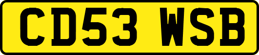 CD53WSB
