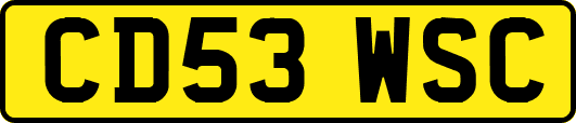 CD53WSC