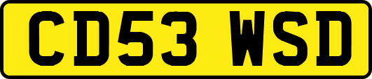 CD53WSD
