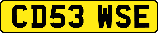 CD53WSE