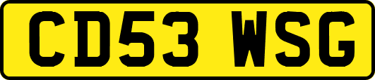 CD53WSG