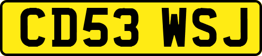 CD53WSJ