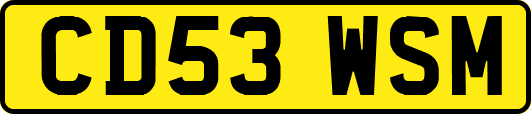 CD53WSM