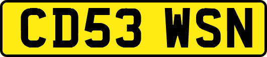 CD53WSN