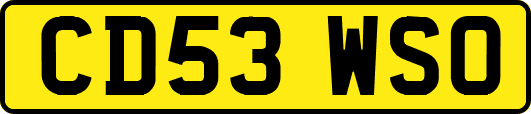 CD53WSO