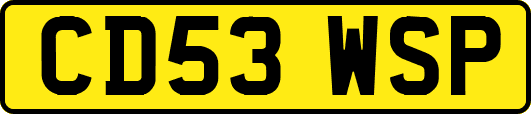 CD53WSP