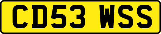 CD53WSS