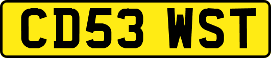 CD53WST