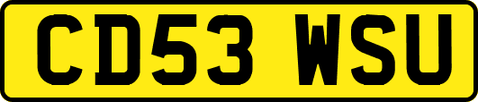 CD53WSU