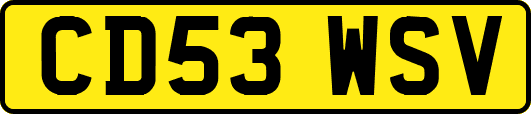 CD53WSV