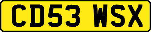 CD53WSX