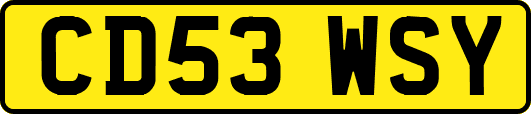 CD53WSY