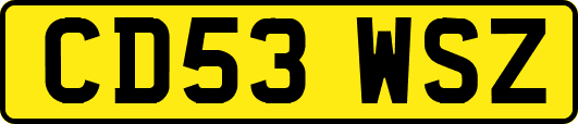 CD53WSZ