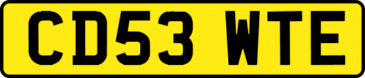 CD53WTE