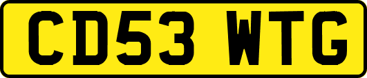 CD53WTG