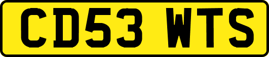 CD53WTS
