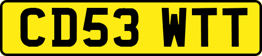 CD53WTT