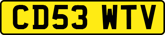 CD53WTV