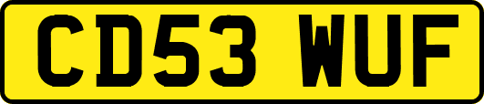 CD53WUF