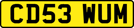 CD53WUM