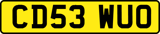 CD53WUO