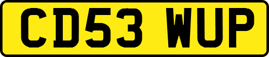CD53WUP