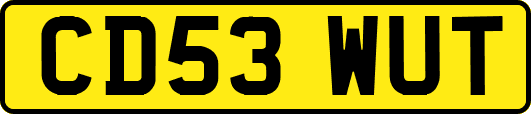 CD53WUT