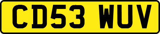 CD53WUV