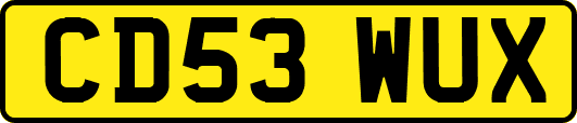 CD53WUX