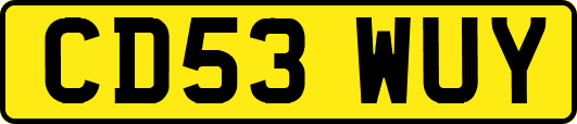 CD53WUY