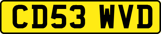 CD53WVD