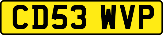 CD53WVP