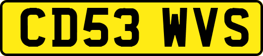 CD53WVS