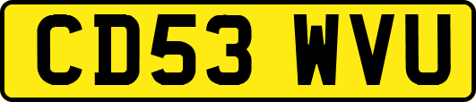 CD53WVU