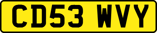 CD53WVY