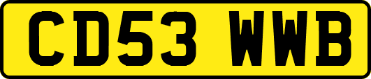 CD53WWB