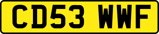 CD53WWF