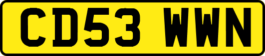 CD53WWN