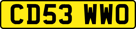 CD53WWO