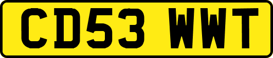 CD53WWT