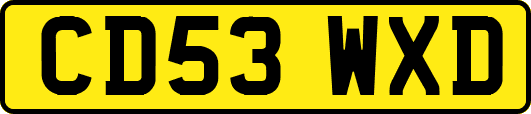 CD53WXD