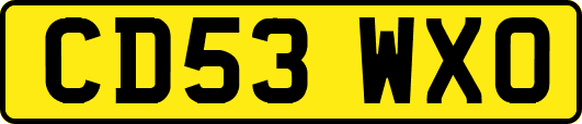 CD53WXO