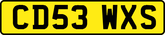 CD53WXS