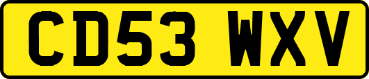 CD53WXV