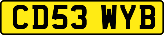 CD53WYB