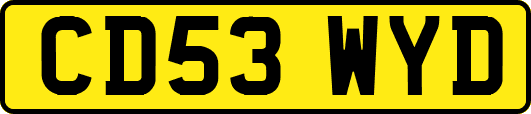 CD53WYD