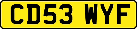 CD53WYF