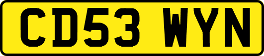 CD53WYN